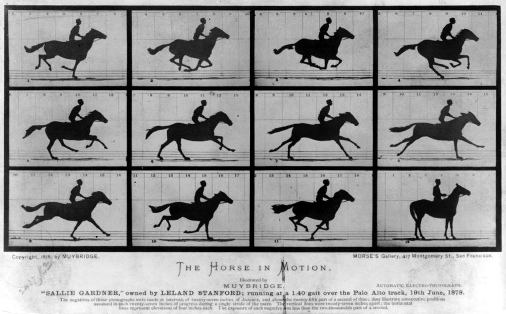 Eadweard 1