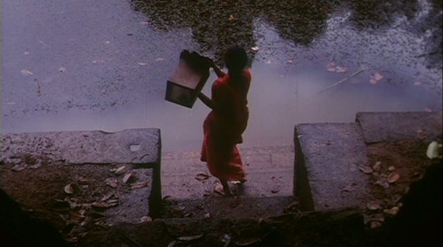 Elippathyam (The Rat-Trap, 1981)