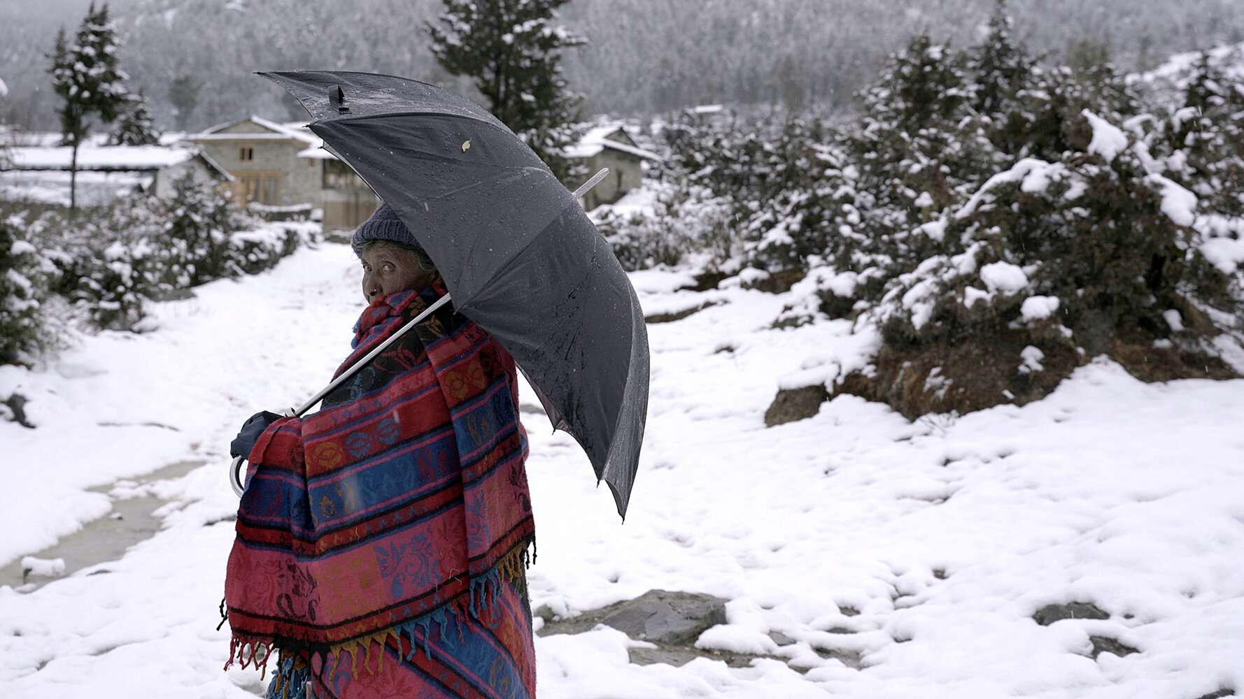 A Still from No Winter Holidays (2023)