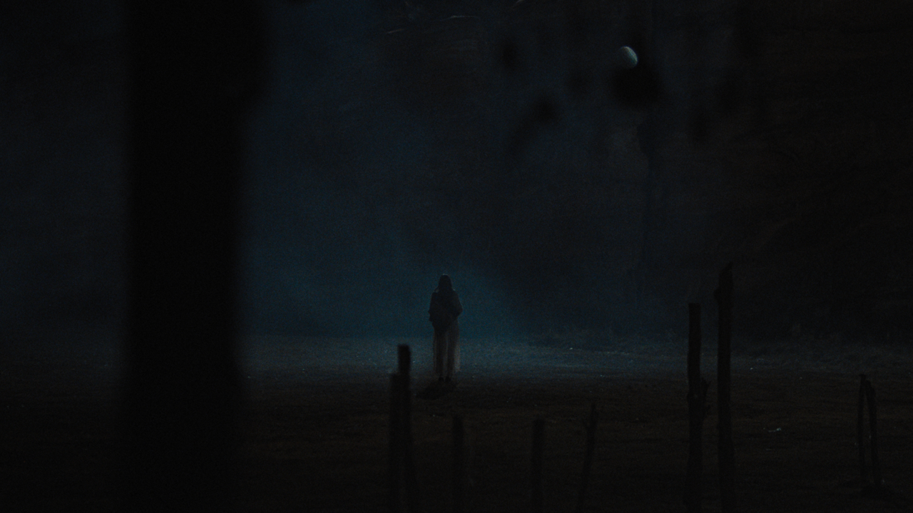 A still from The Seeding (2023)