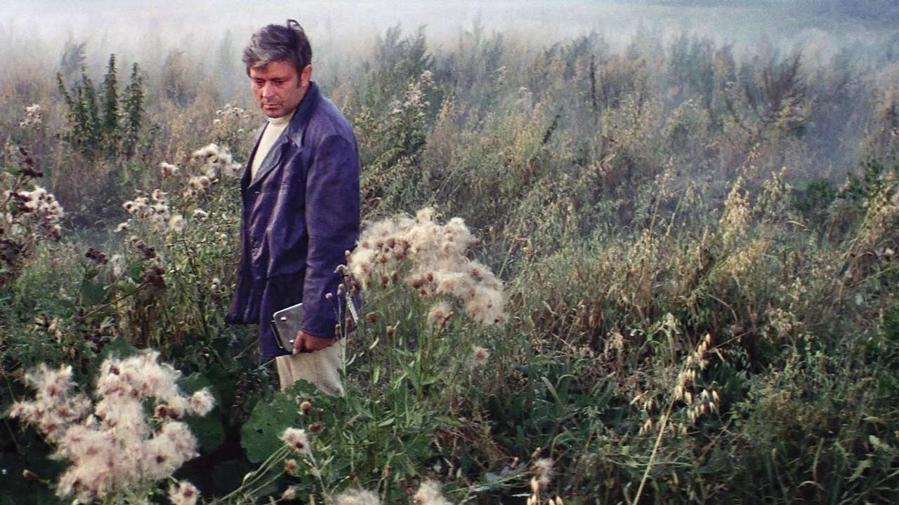 Transcending Boundaries Tarkovsky's Fusion of Style and Substance