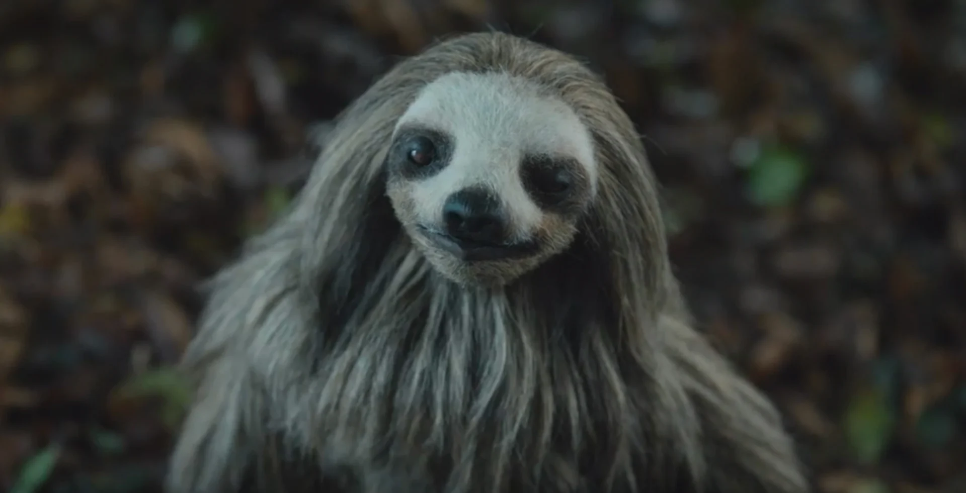A still from Slotherhouse (2023). 