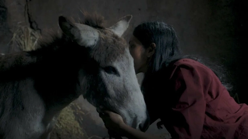 Nehemich (2023) ‘MAMI’ Movie Review