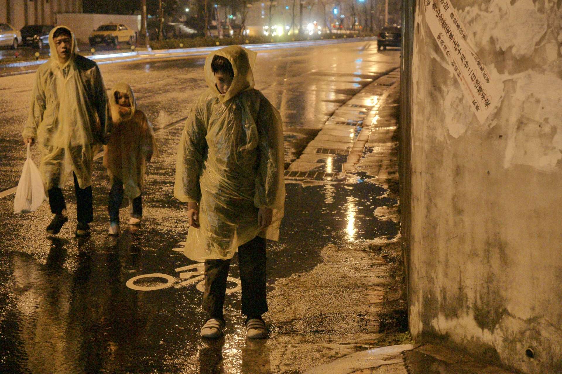 Stray Dogs (2013)