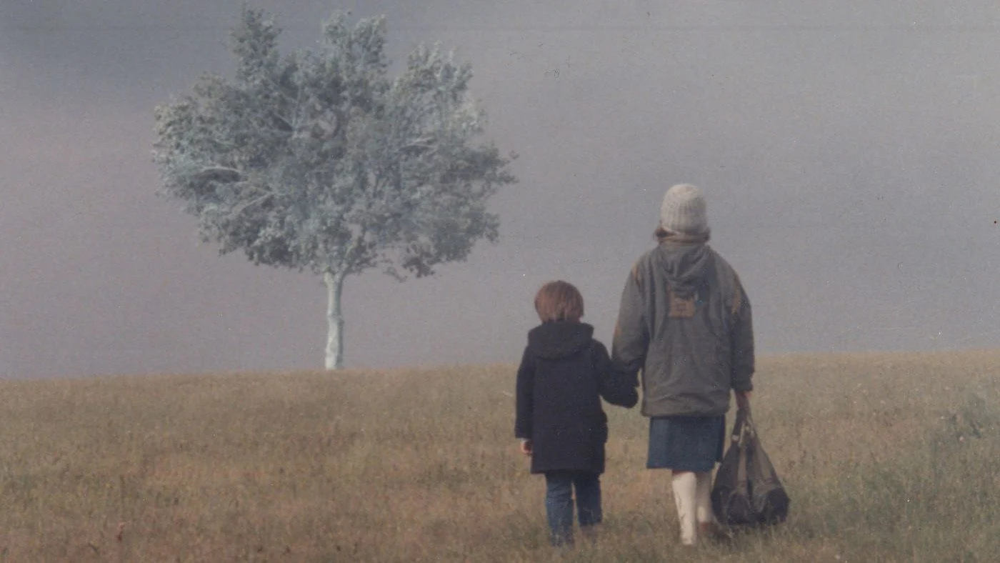 The World of Slow Cinema 10 Great Films That Foreground Stillness - Landscape in the Mist (1988)