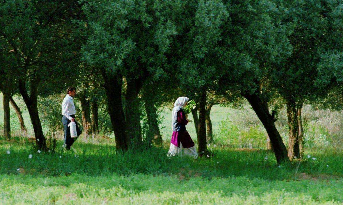 Through the Olive Trees (1994)
