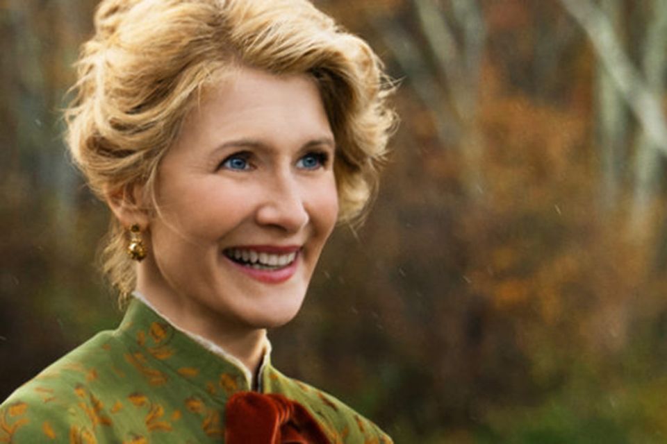 Top 10 Laura Dern Performances - Little Women (2019)