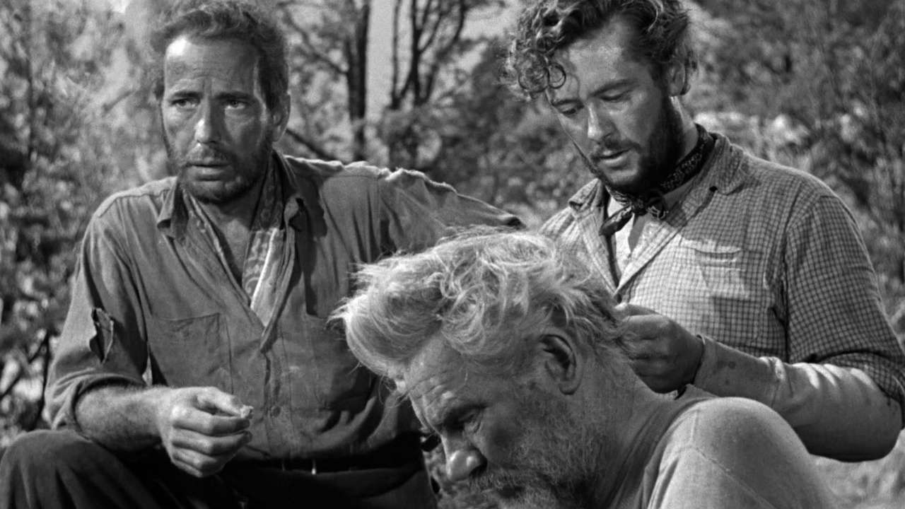 movies like breaking bad The Treasure of The Sierra Madre (1948)