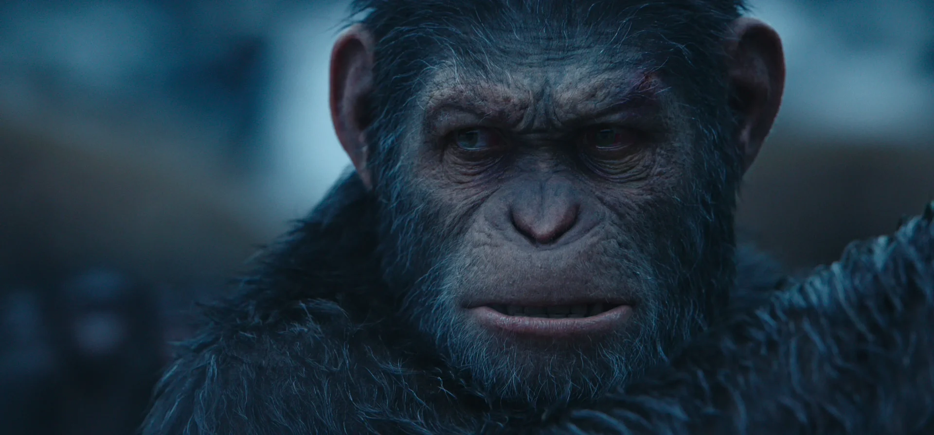 Kingdom of the Planet of the Apes (2024) Movie Review