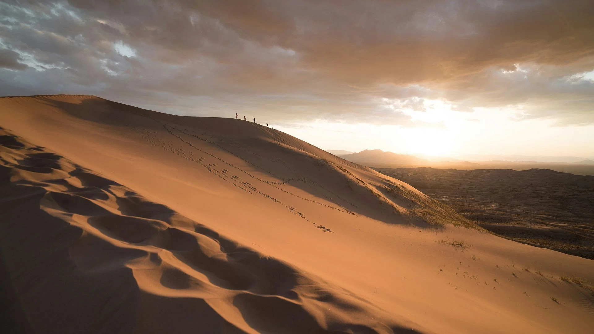 Nightmare in the Desert (2024) Movie