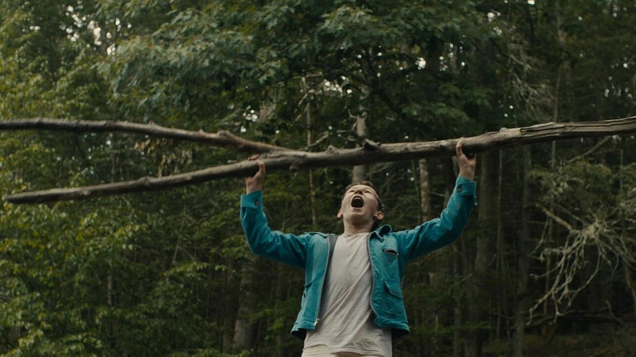 Lost on a Mountain in Maine (2024) Movie Review