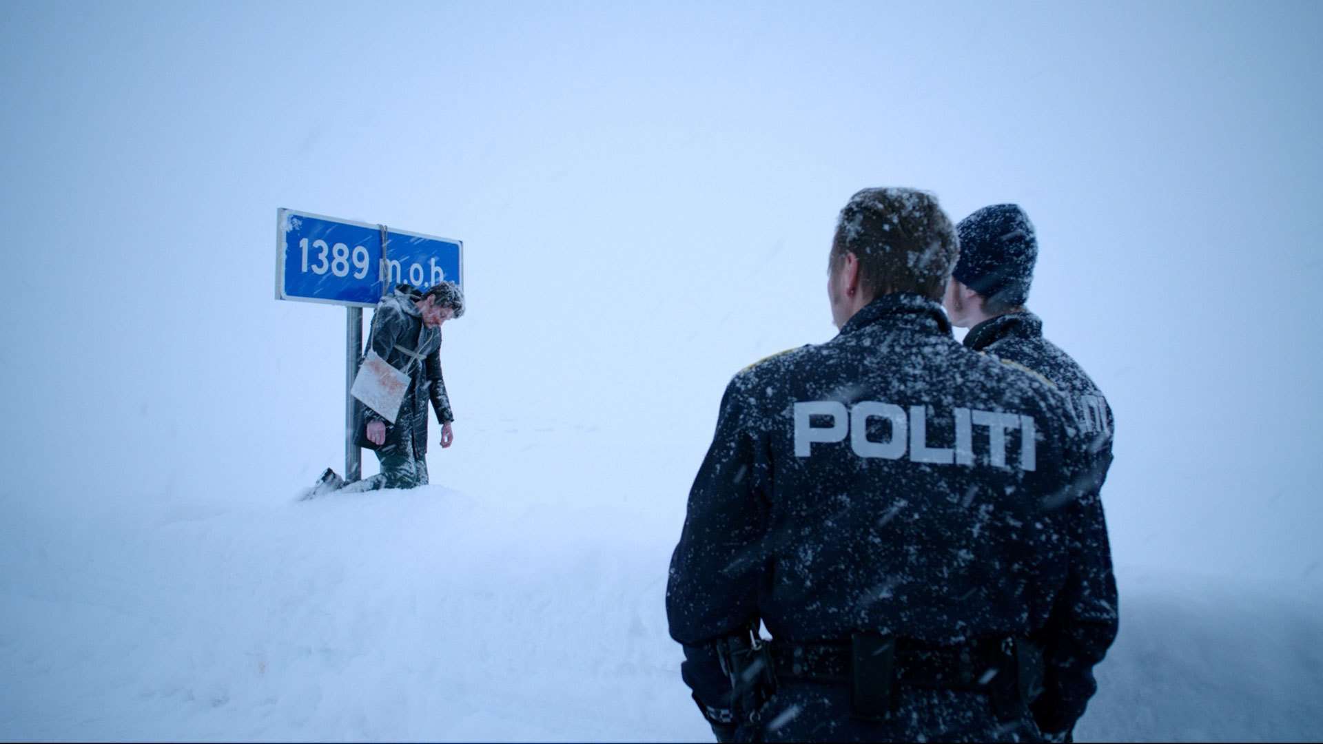 In Order of Disappearance (2014) 