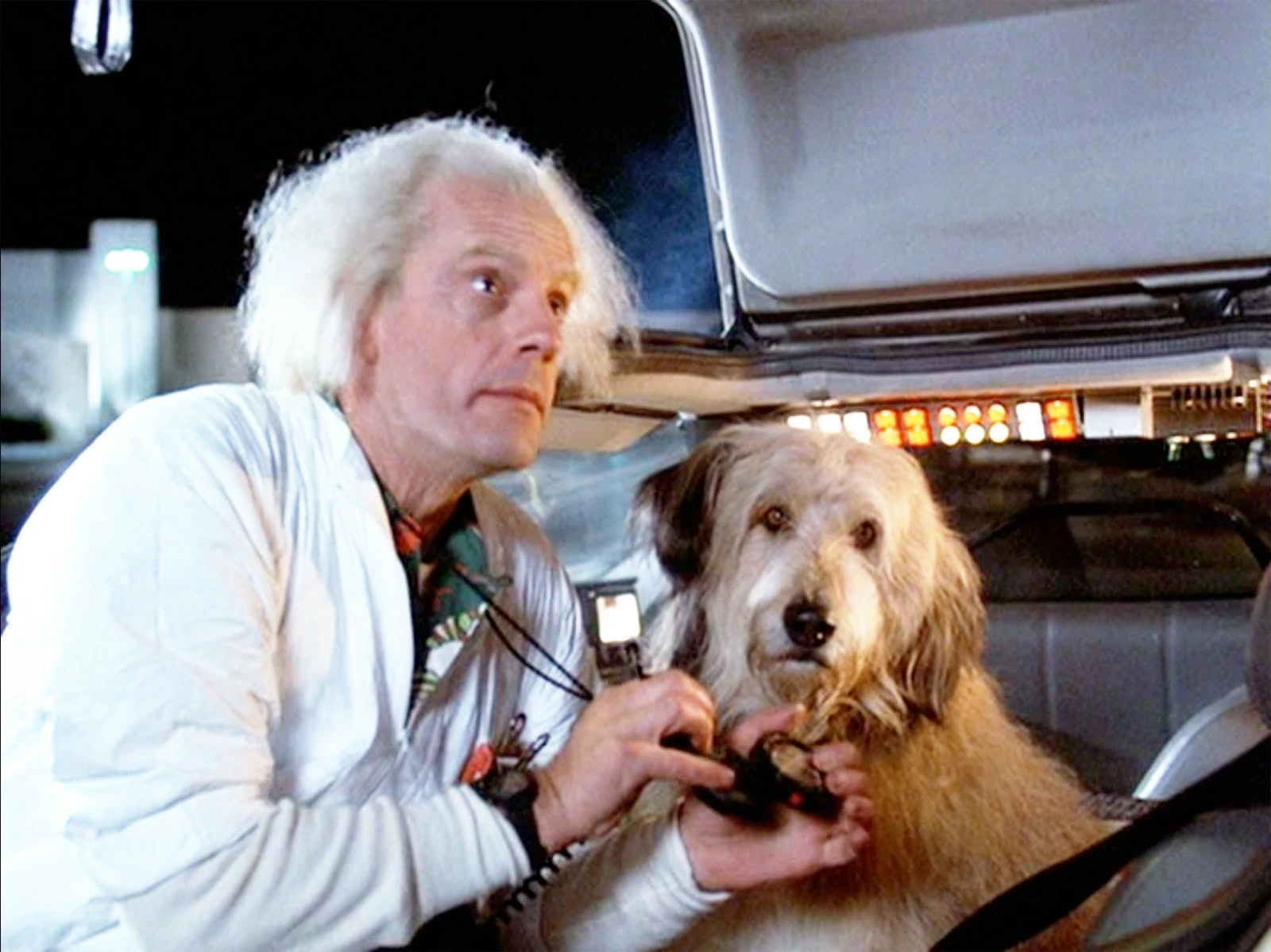 Einstein in Back to the Future (1985)