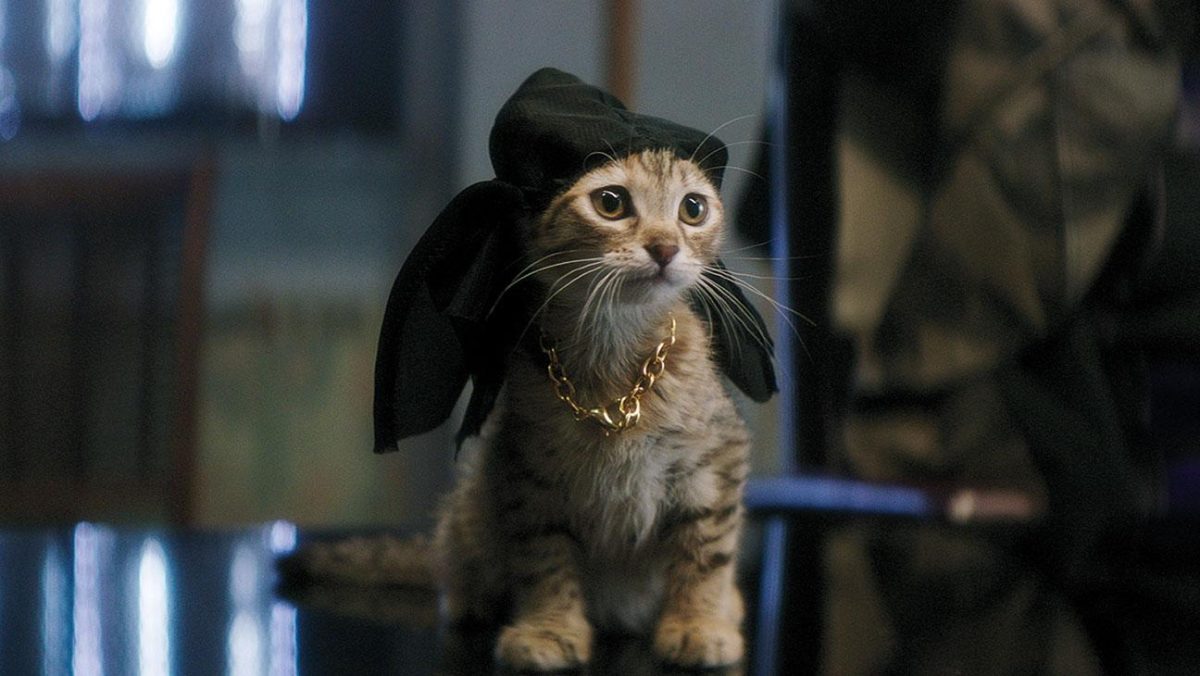 Keanu Reeves cameo in Keanu (2016)