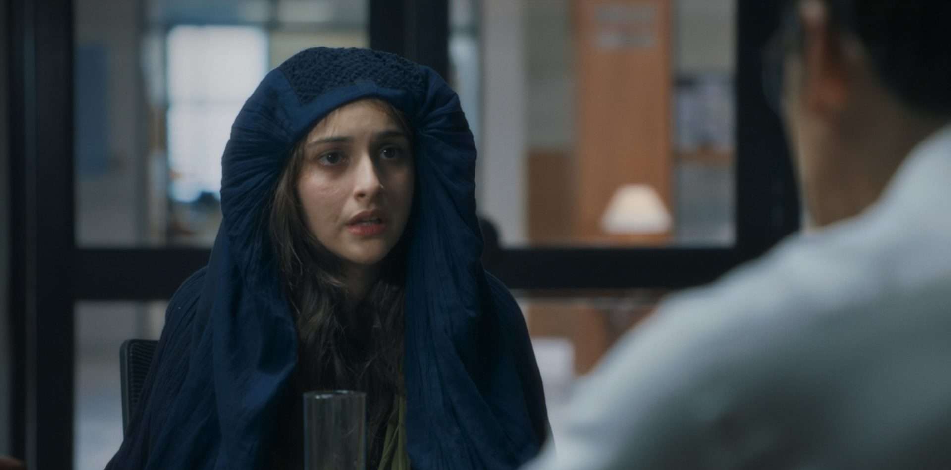 The Diplomat (2025) 
