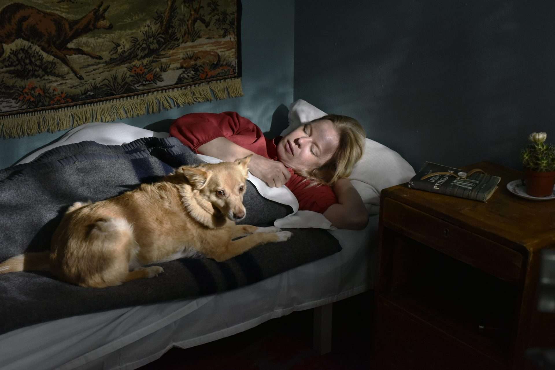 The Dog in Fallen Leaves (2023) - Best Dog Performances in Cinema: 10 Canine Stars Who Stole the Show
