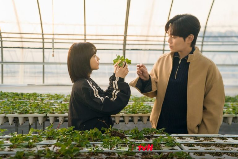 Our Unwritten Seoul (2025) K-Drama: Episode Guide, Plot, Cast & Streaming Details