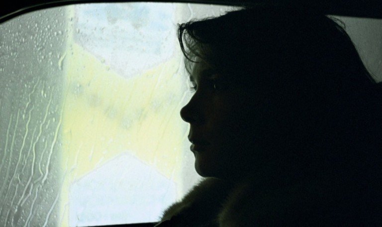 The Seventh Continent [1989]: A Critique on the Emptiness of a Quotidian Existence