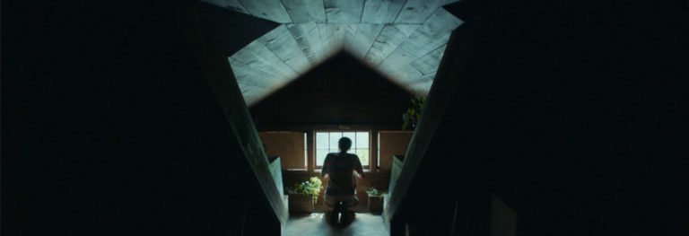 It Comes at Night [2017]: Despairing Vision of Fear and Paranoia