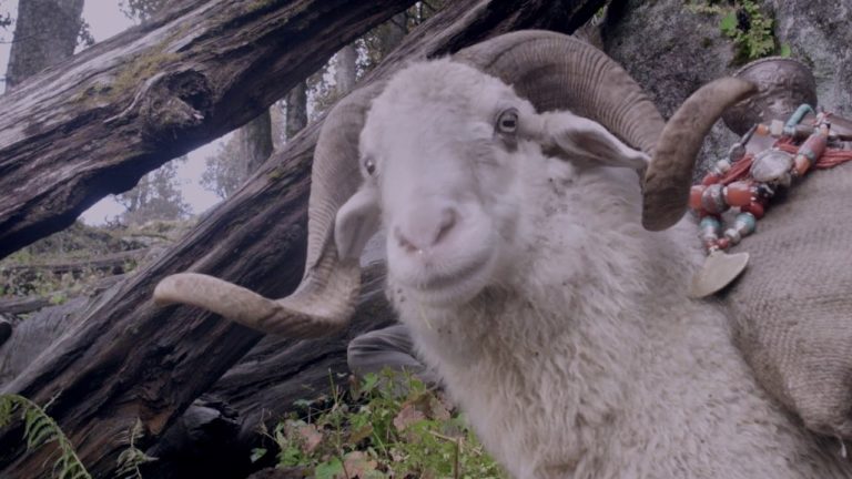 The Gold-Laden Sheep & The Sacred Mountain [2018]: ‘DIFF’ Review- A Sensory Experience