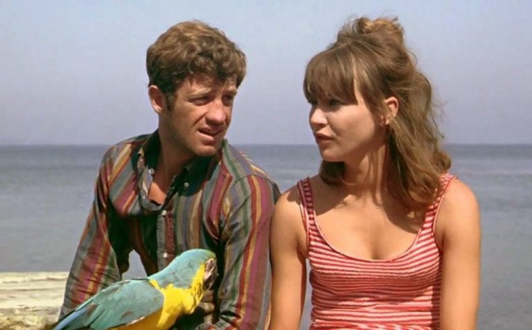 Pierrot le Fou [1965] Review: An Internal Conflict | High On Films