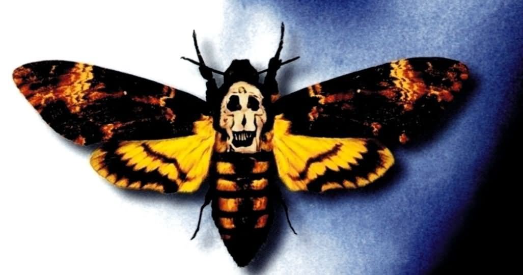 A picture containing insect
Description automatically generated