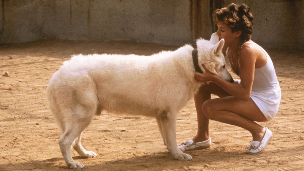 Best Dog Movies of All Time - White Dog