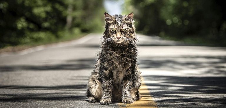 Pet Sematary [2019] Review: Sometimes Remake is Better