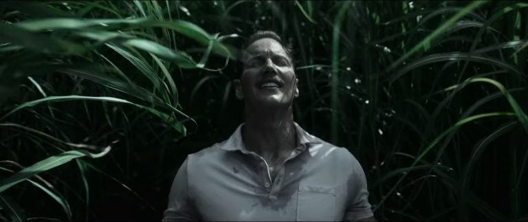 In the Tall Grass Netflix [2019] Review: One for the Stephen King purists only