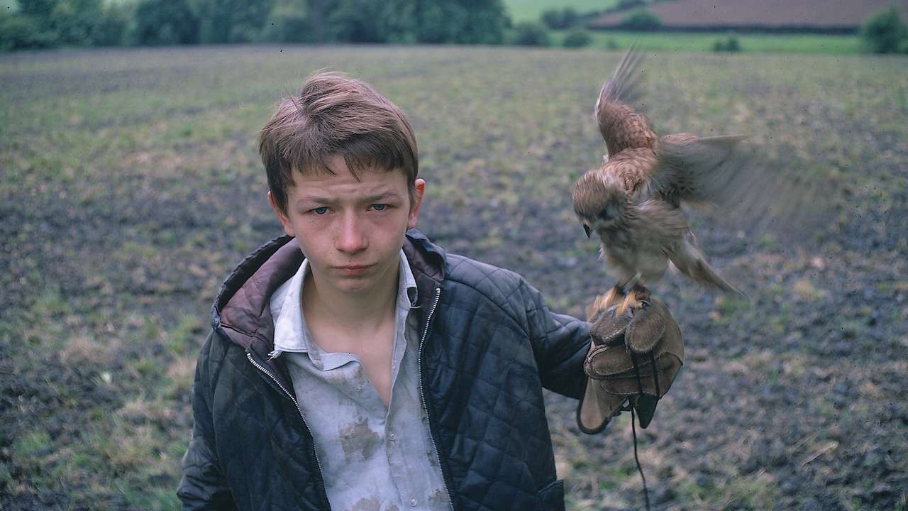 Working Class Movies_Kes