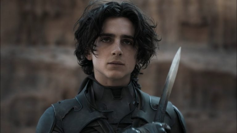 Timothèe Chalamet Upcoming Movies: What’s Next For The Young Actor