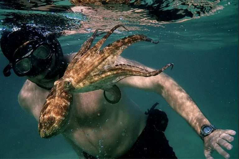 10 Best Educational Documentaries on Netflix