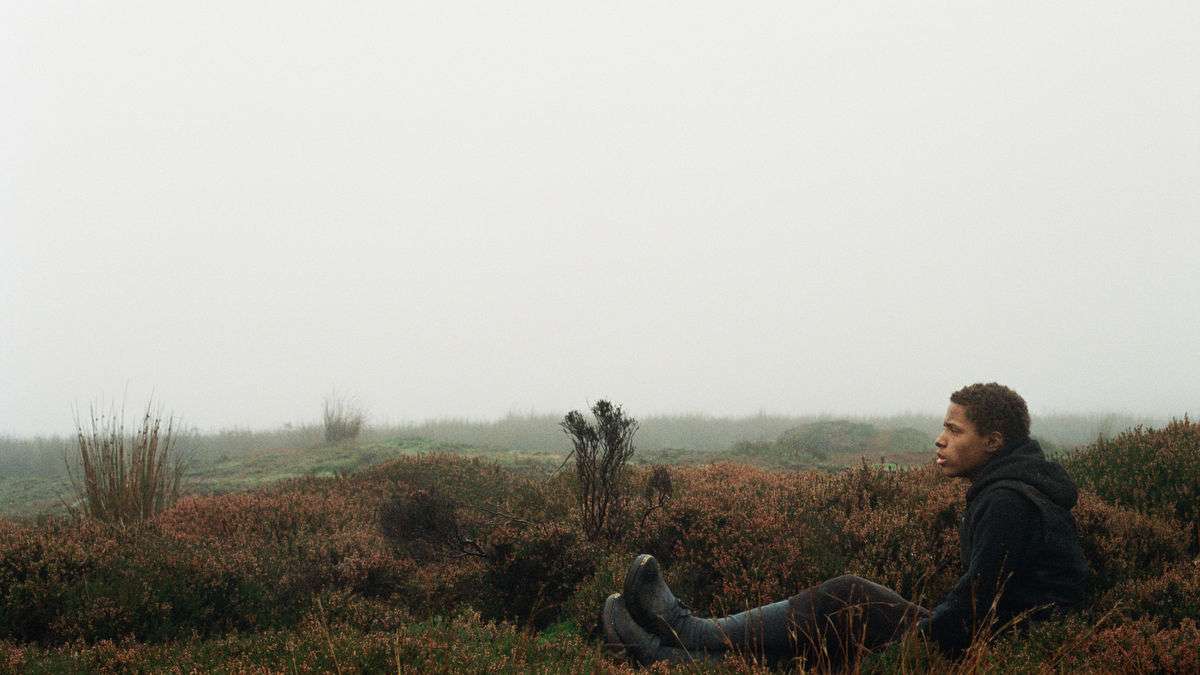 Wuthering Heights (2011) Andrea Arnold Movies letterboxd