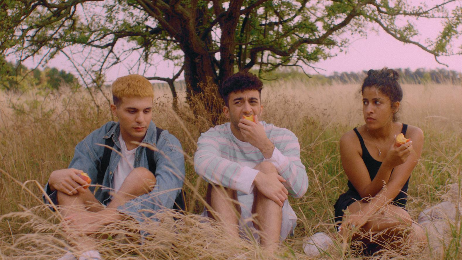 LGBT Films 2020 - No Hard Feelings
