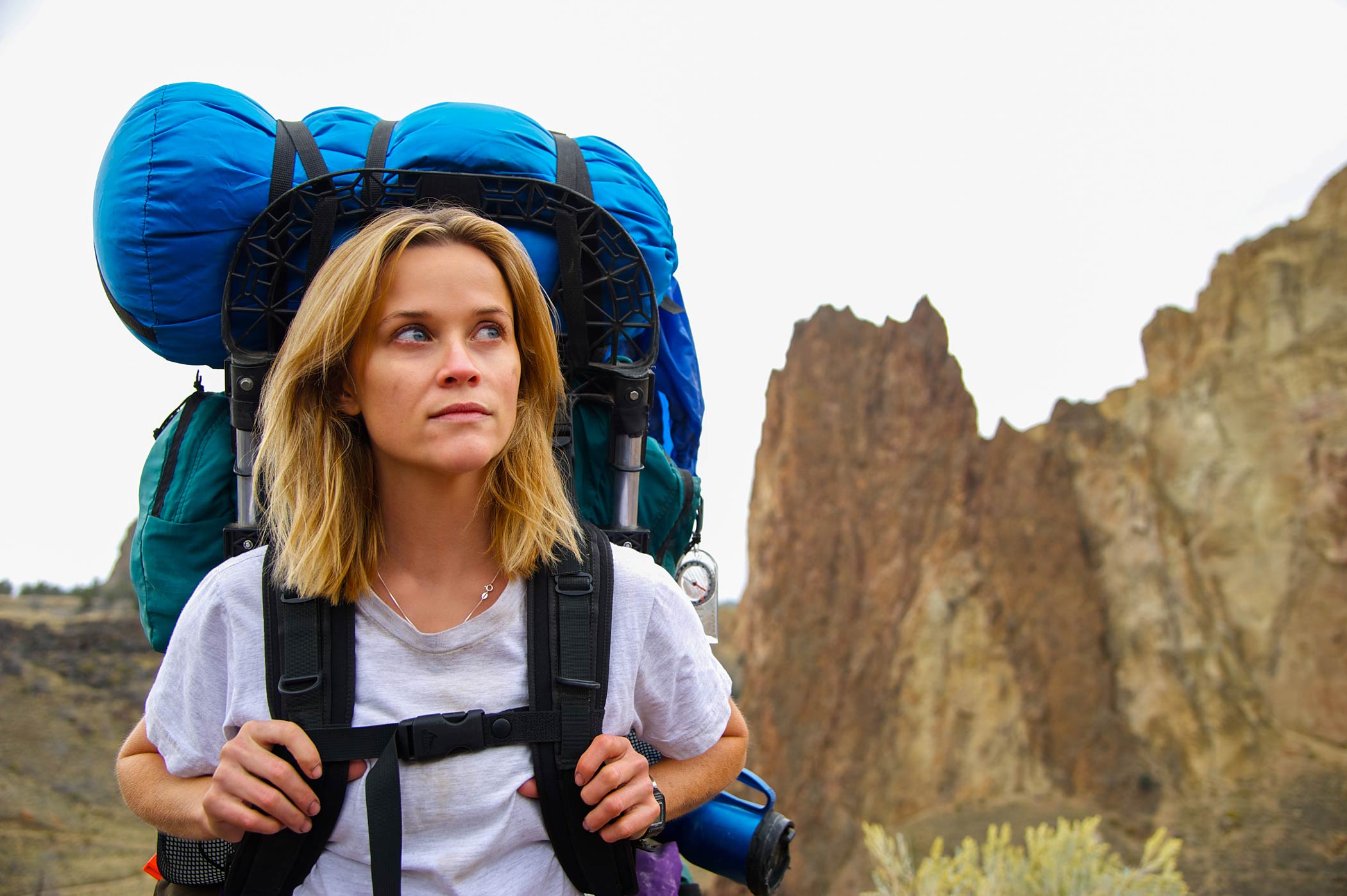 Films Like Nomadland