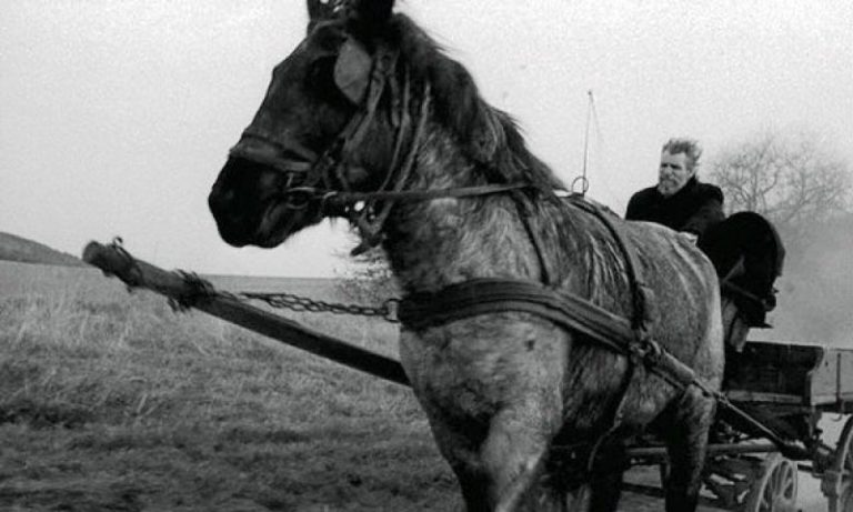 20 Best Black and White Movies of the 21st Century
