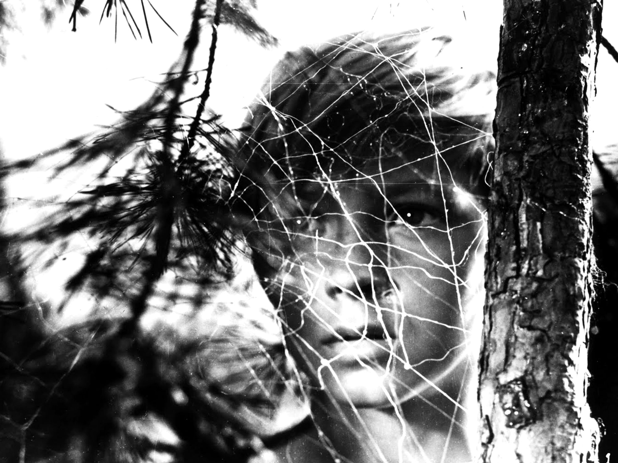 Andrei Tarkovsky