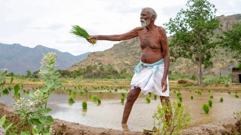 Kadaisi Vivasayi [2022]: ‘SonyLIV’ Review – A Fascinating Ode to Farmers and Simple Living