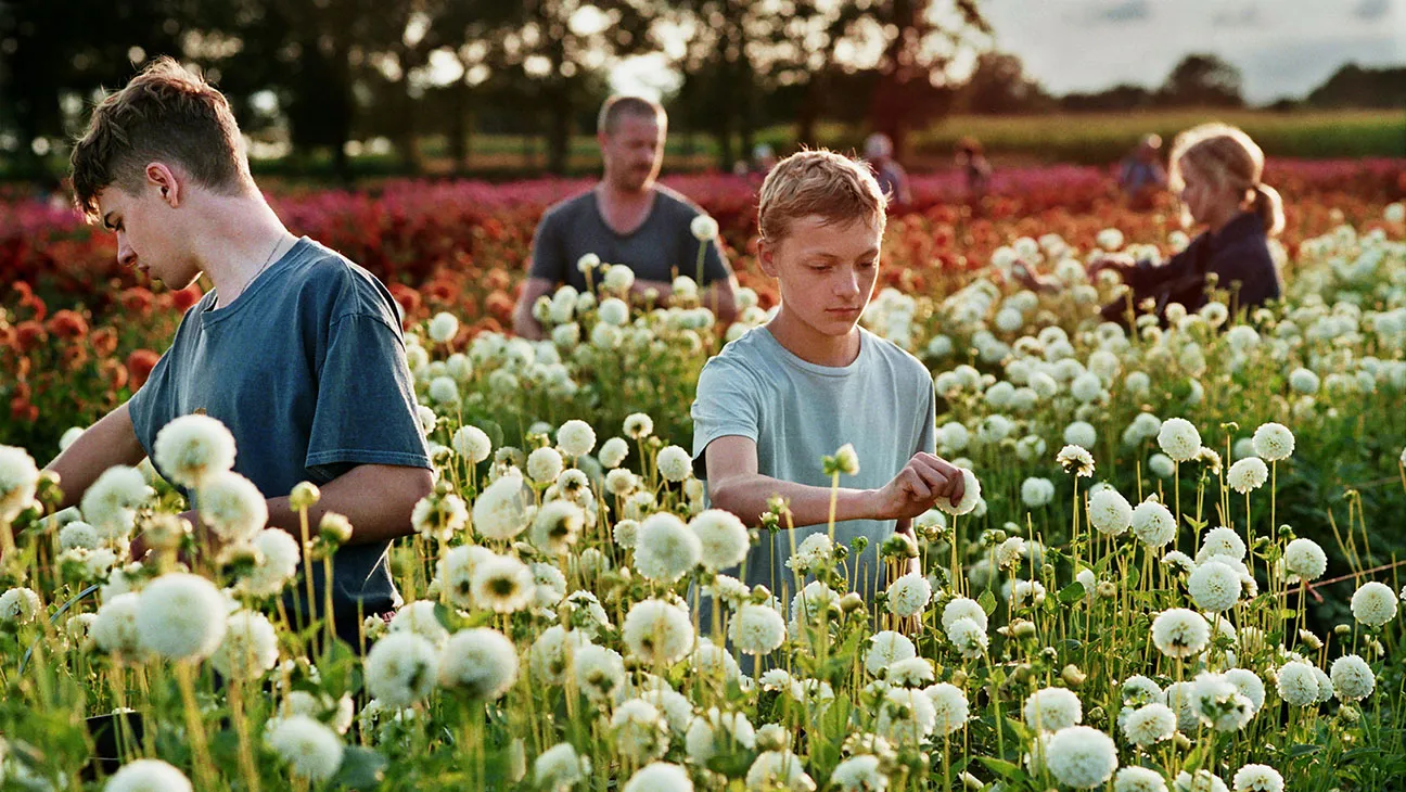 Best A24 Movies_Close