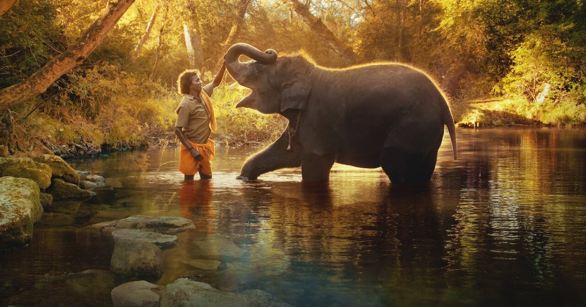 movie review of elephant whisperers