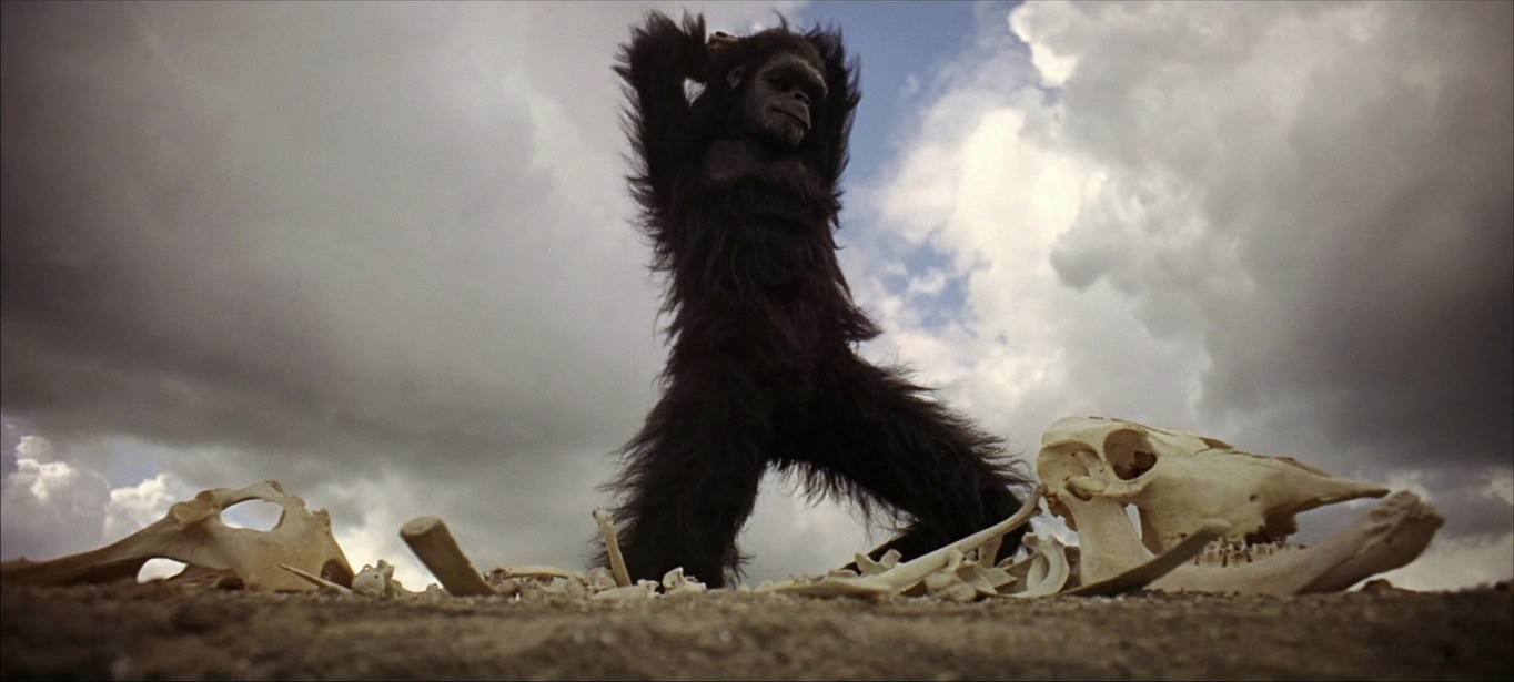 2001 A Space Odyssey The Dawn of Man