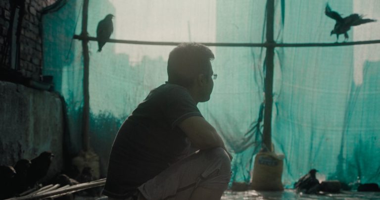 All that Breathes (2022) Documentary Explained: A frozen flame of artistry in creating a mournful and never-ending remembrance about the raptors in Delhi