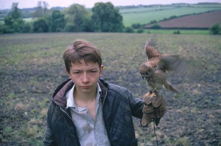 The 10 Best Ken Loach Films