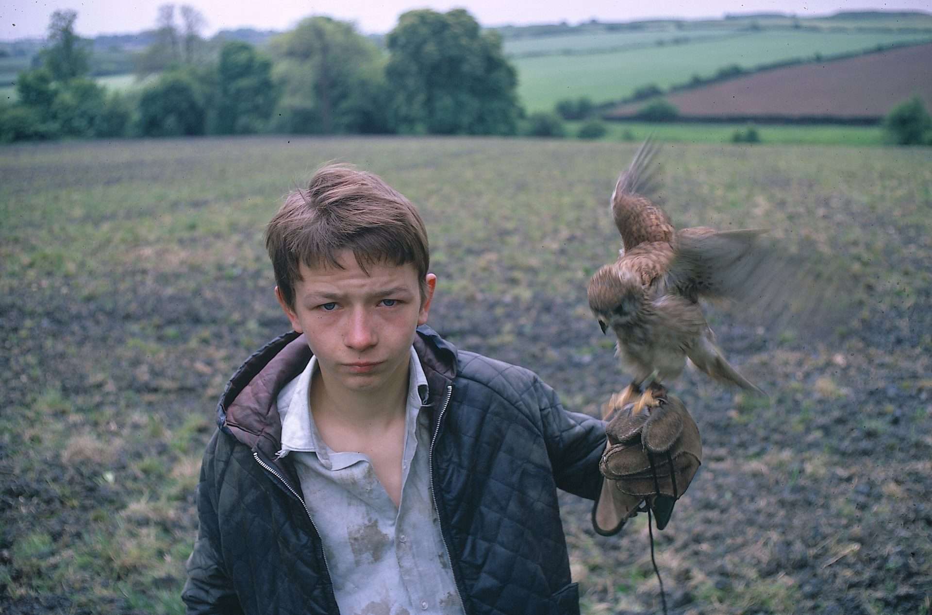 David Bradley as Billy in Ken Loach's Kes