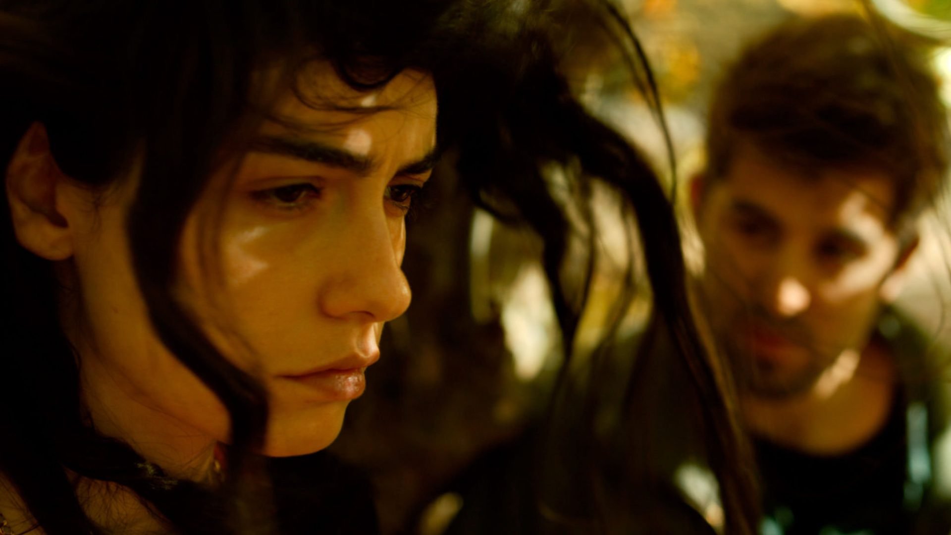 Every Nuri Bilge Ceylan Film Ranked - The Wild Pear Tree