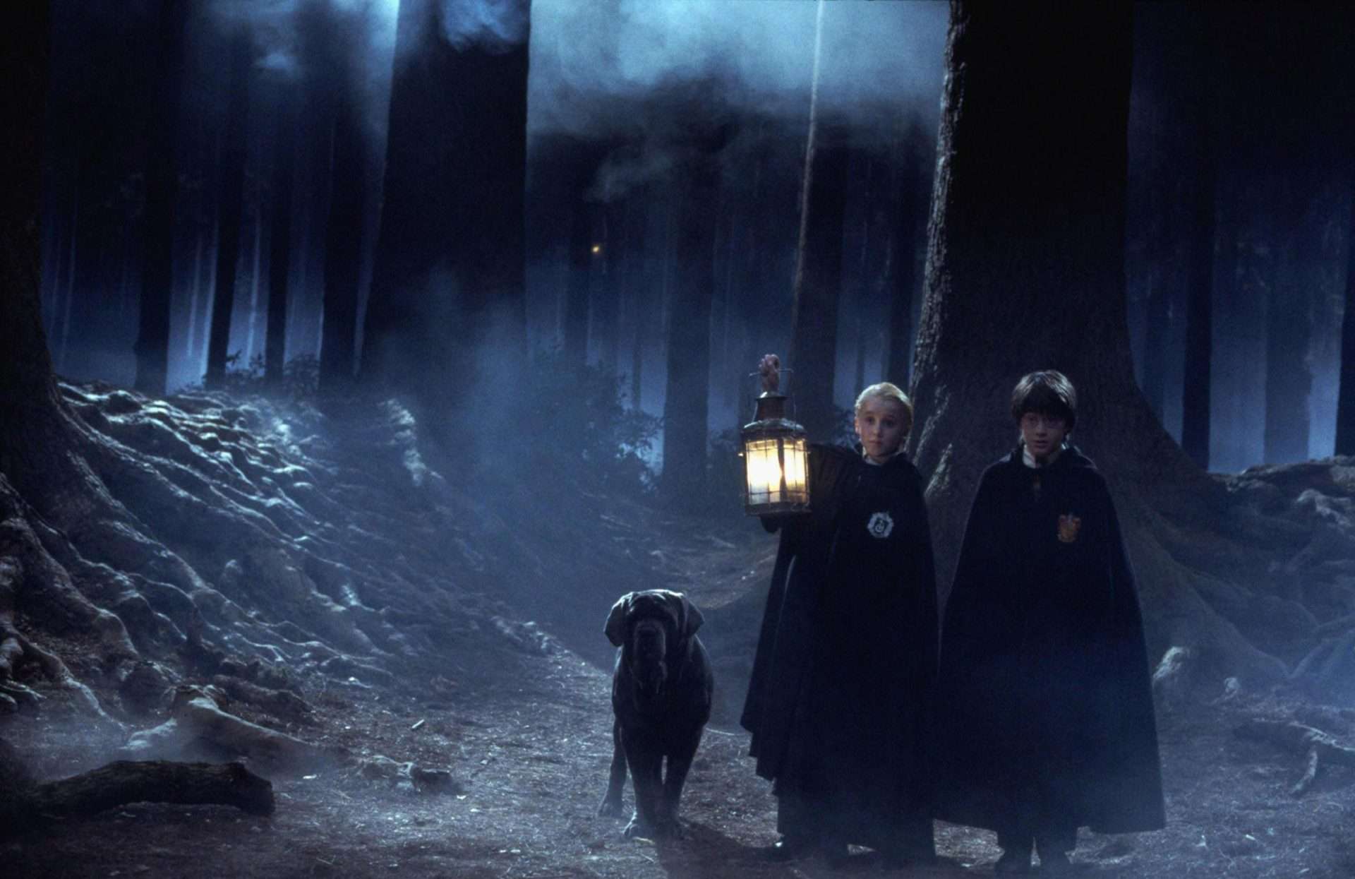 Harry Potter Forbidden Forrest