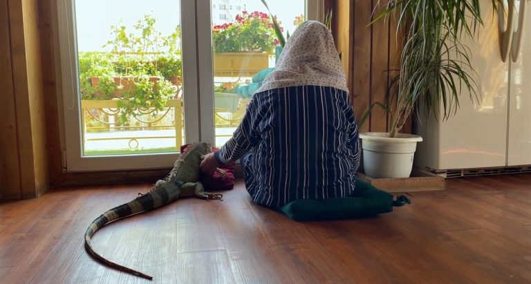 Life (2021) Short Film Review: A Story of Exile and Connection in the Pandemic