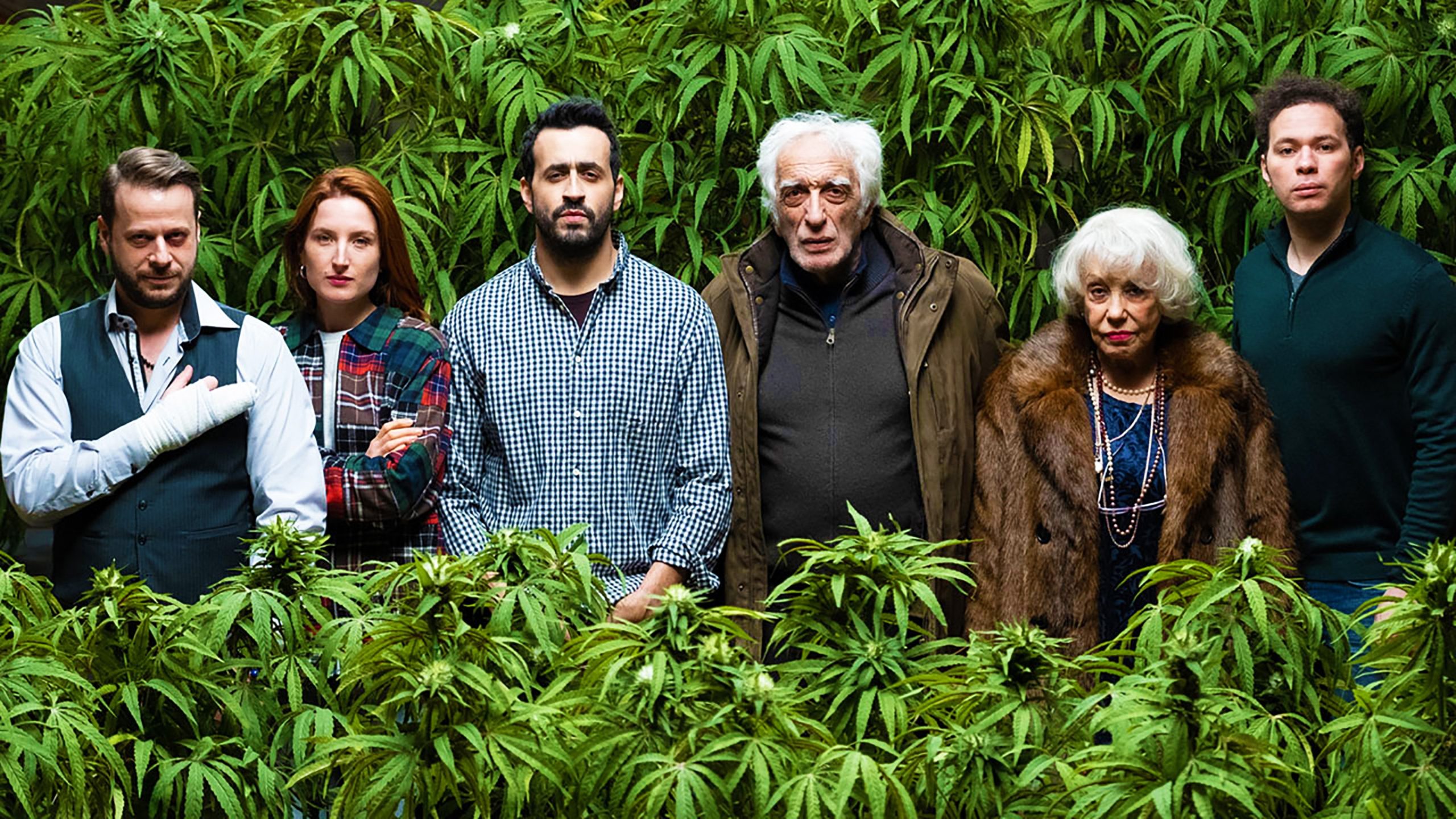 6 Shows to Watch If You Like The Bear On Hulu - Family Business