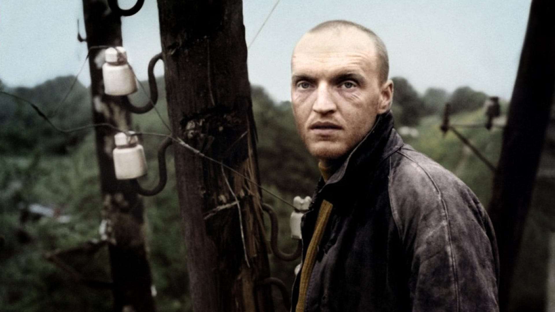 Tarkovsky's Fusion of Style and Substance Essay