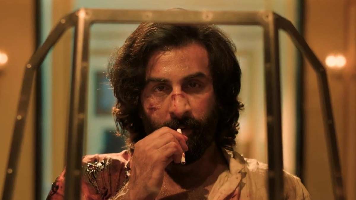 Indian Movies of 2023 - Animal
